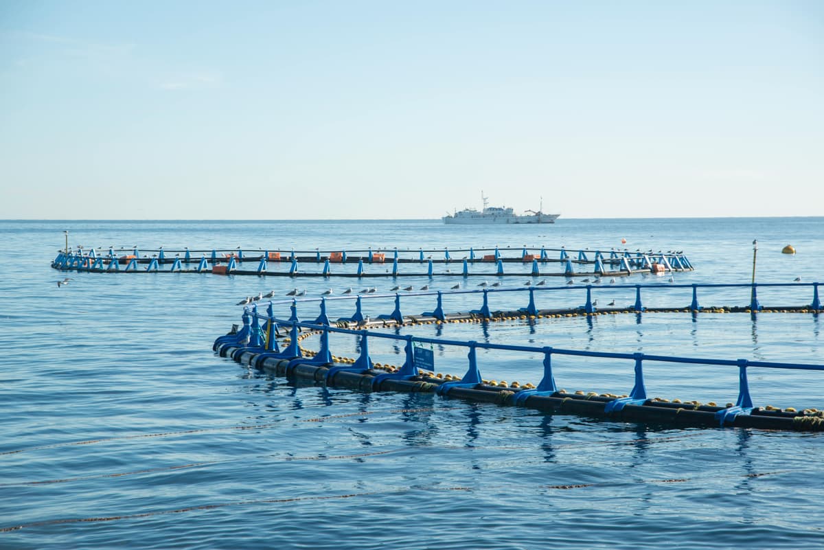 From the Sea Farmers Event: Where Seafood Manufacturing Is Headed Next